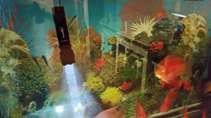 手電PT10，為戰(zhàn)術而生